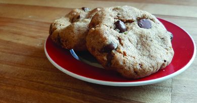 The go-to chocolate chip cookie recipe