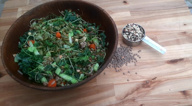 Rice and lentil salad