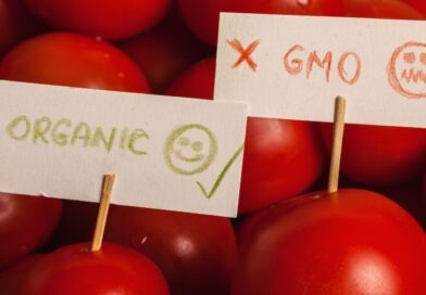 Canadians don’t have the right to know if they are consuming genetically modified food